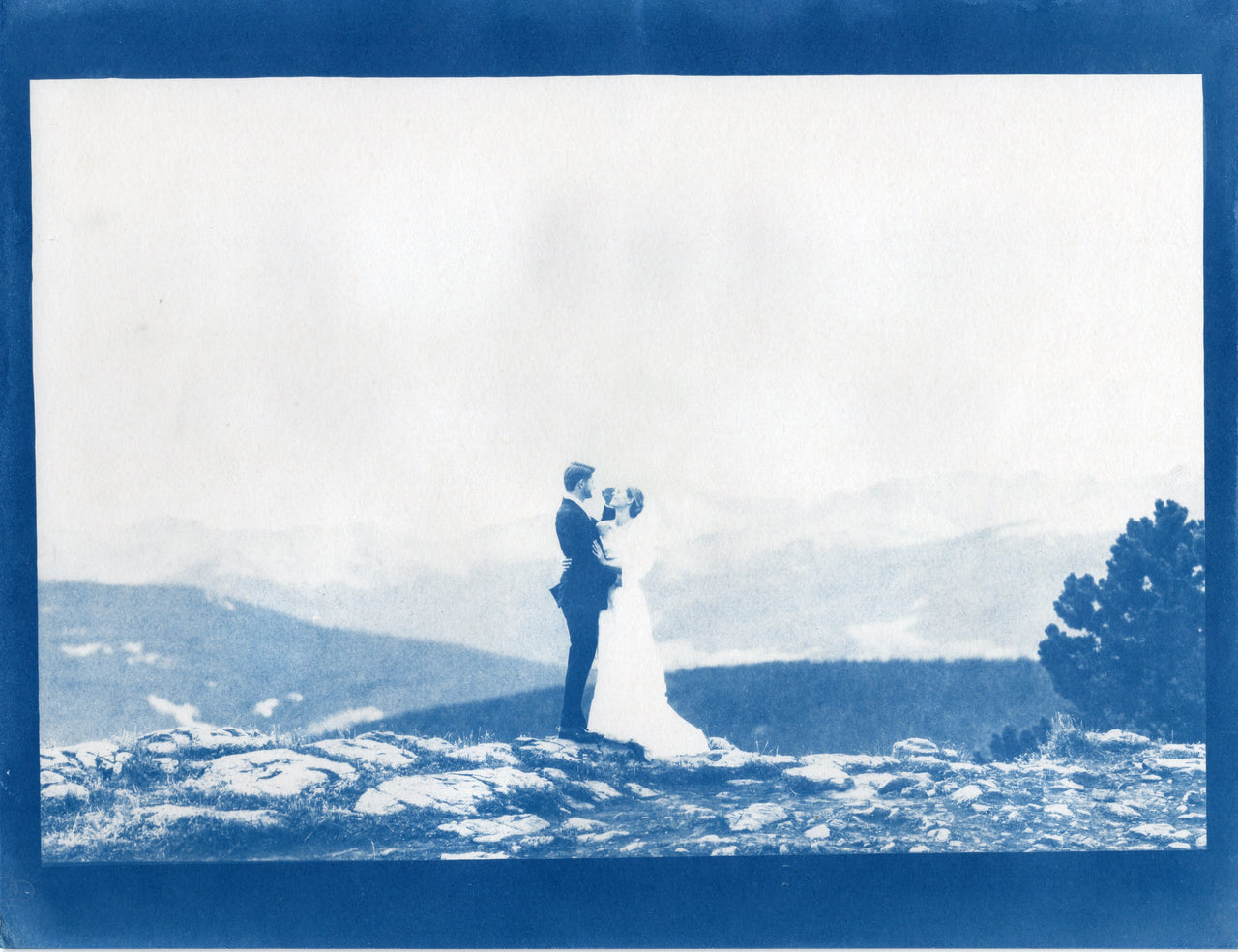 Custom Cyanotypes | Commission Forms | Made in Los Angeles