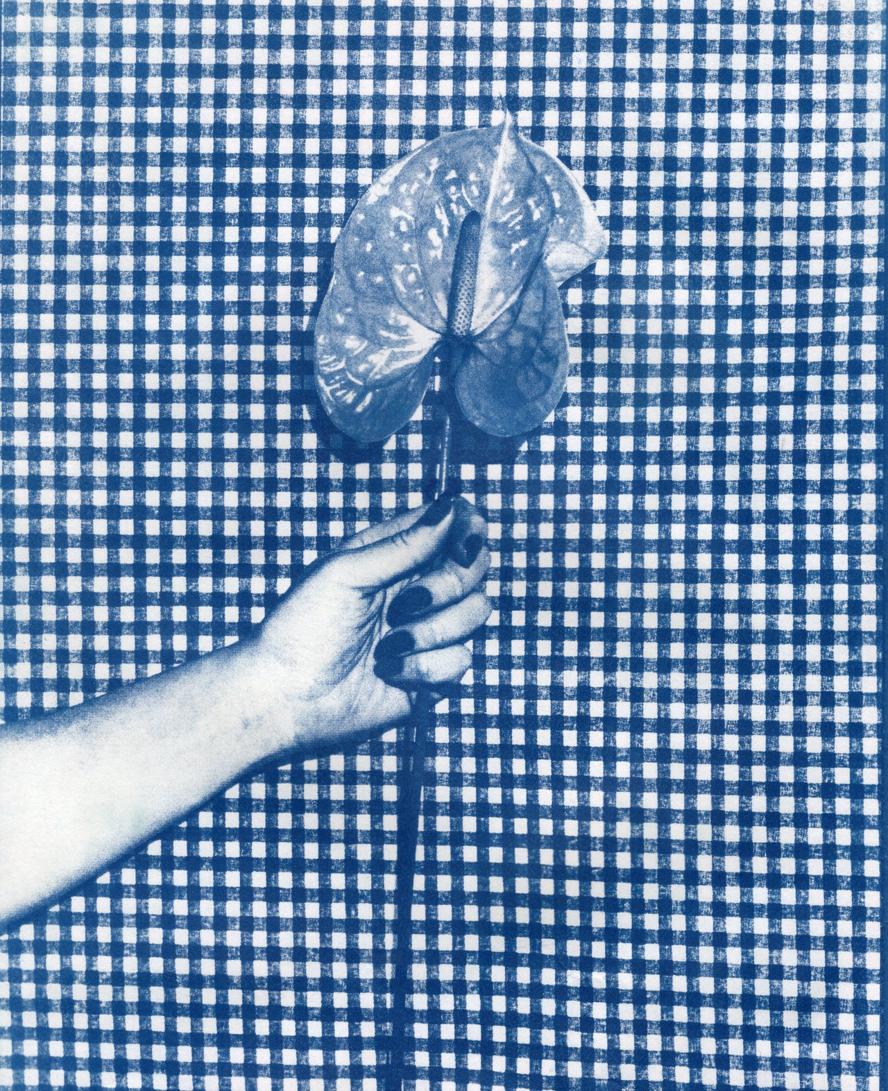 Theme: Hands | Original Cyanotype Prints | Ready to Ship
