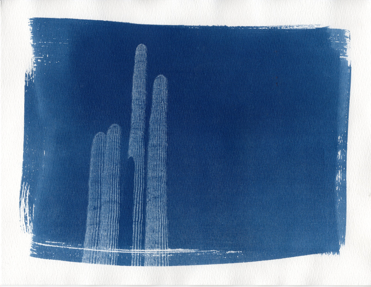 Saguaro, 2022 | Original Cyanotype Print | Ready to Ship