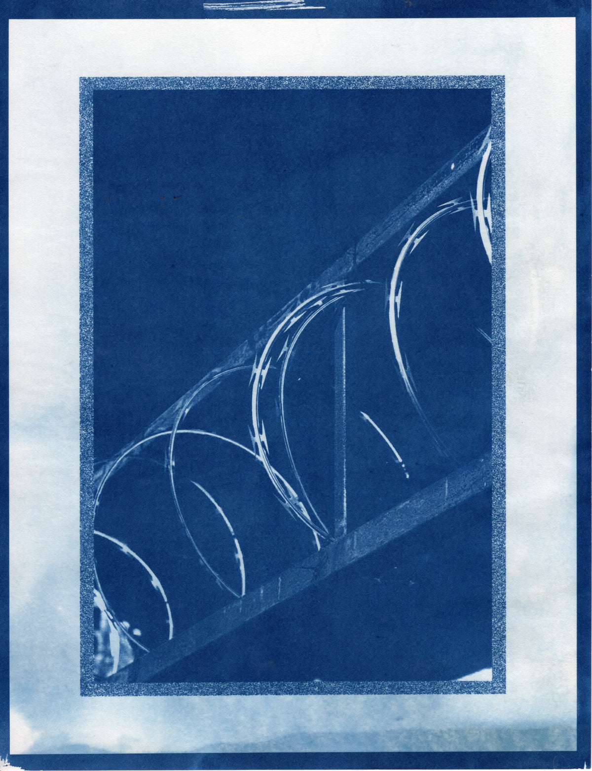 Barbed Wire, 2025 | Cyanotype Print | 8.5x11"