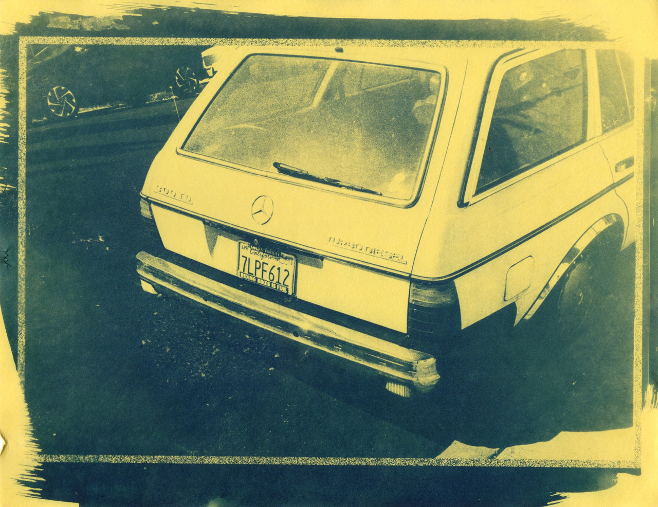 Untitled, 2018 | Original Cyanotype Print | Ready to Ship