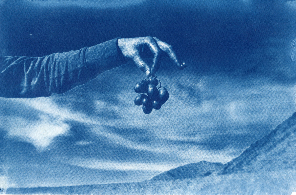 Grapes, Death Valley, 2020 | Original Cyanotype Print | 6x8.5"