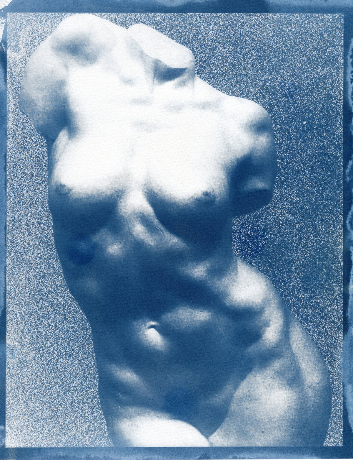 Bust, 2026 | Original Cyanotype Print | 8.5x11" | Positive & Negative