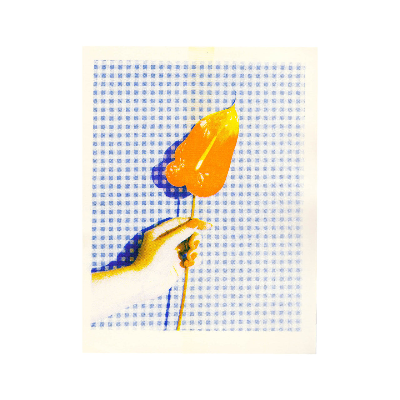 Anthurium #2, 2024. Deep Blue