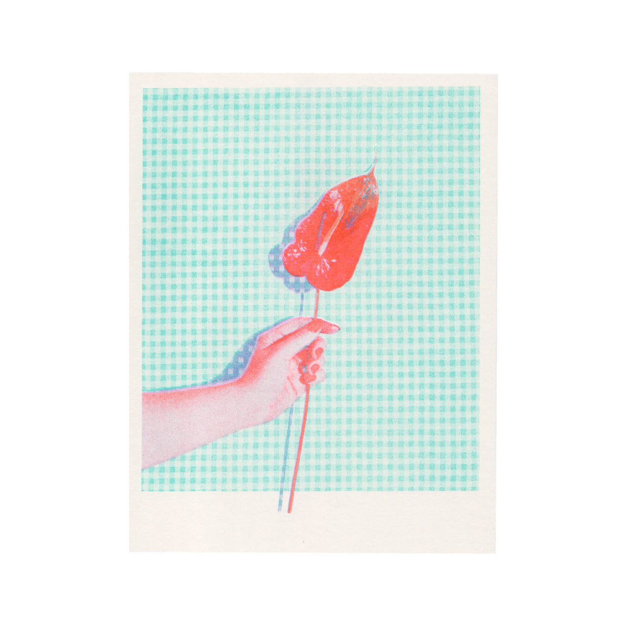 Anthurium #2, 2024. Mint