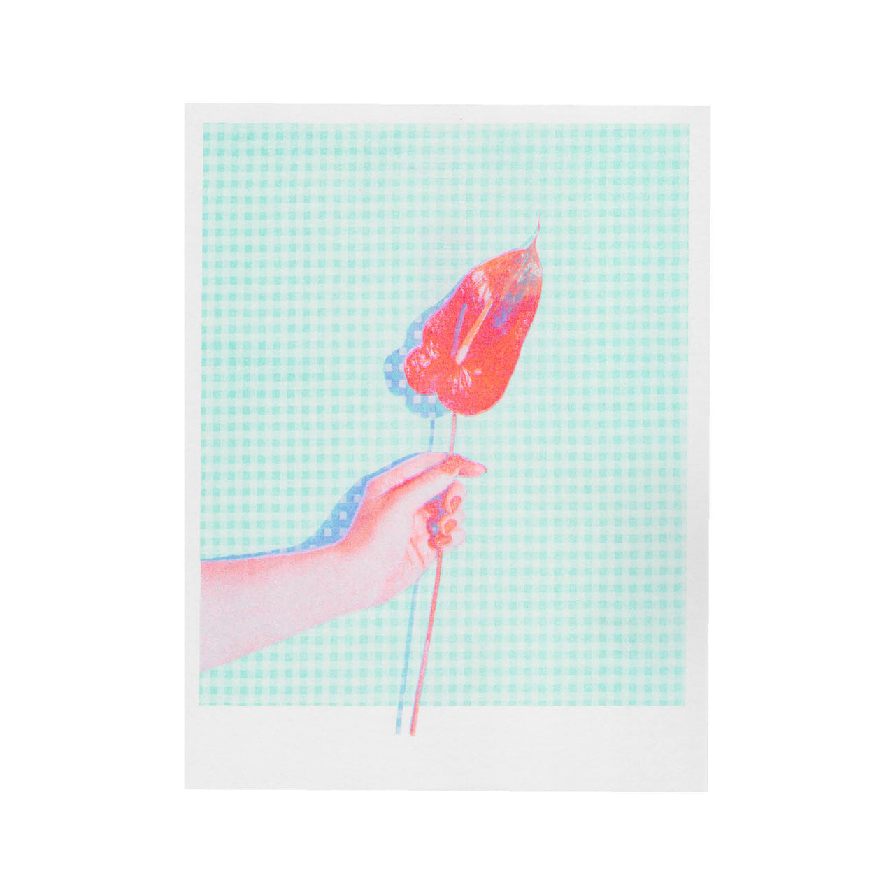 Anthurium #2, 2024. Mint