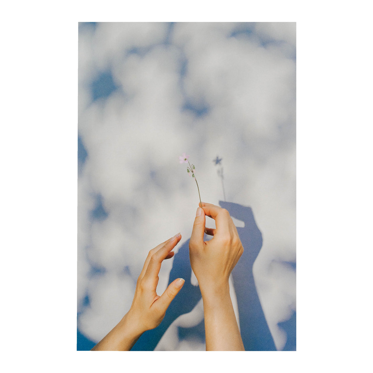 Hands with Clover, 2024.