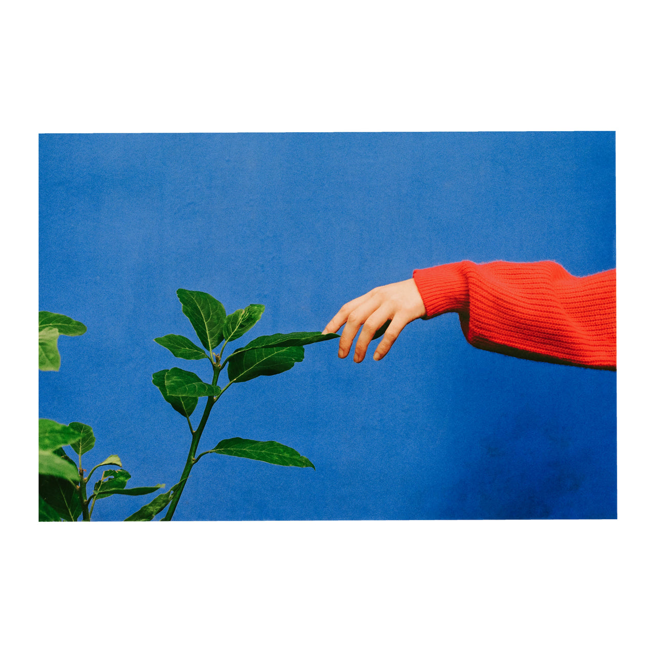 Hands on Blue, 2024.