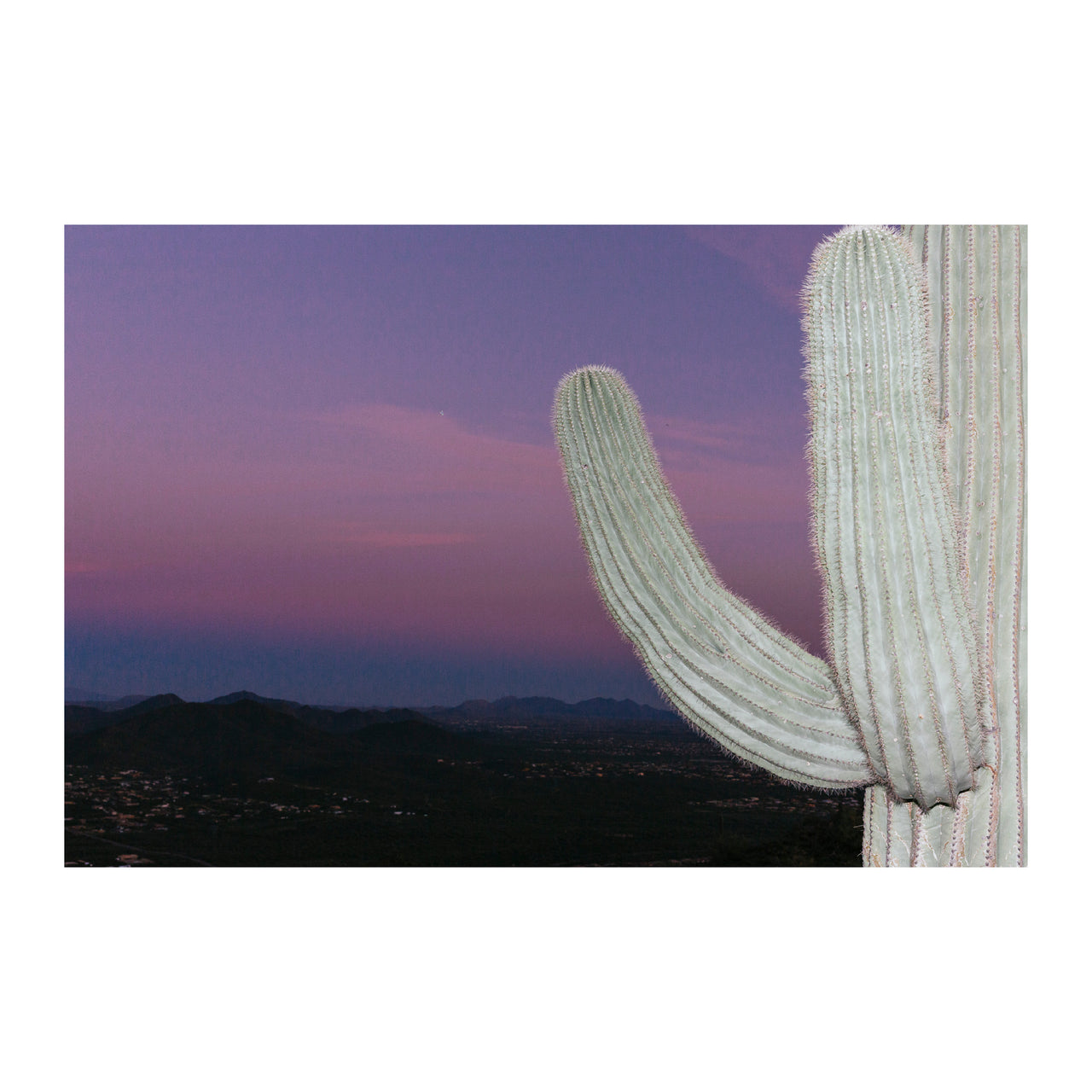Sonoran Desert #17, 2018.