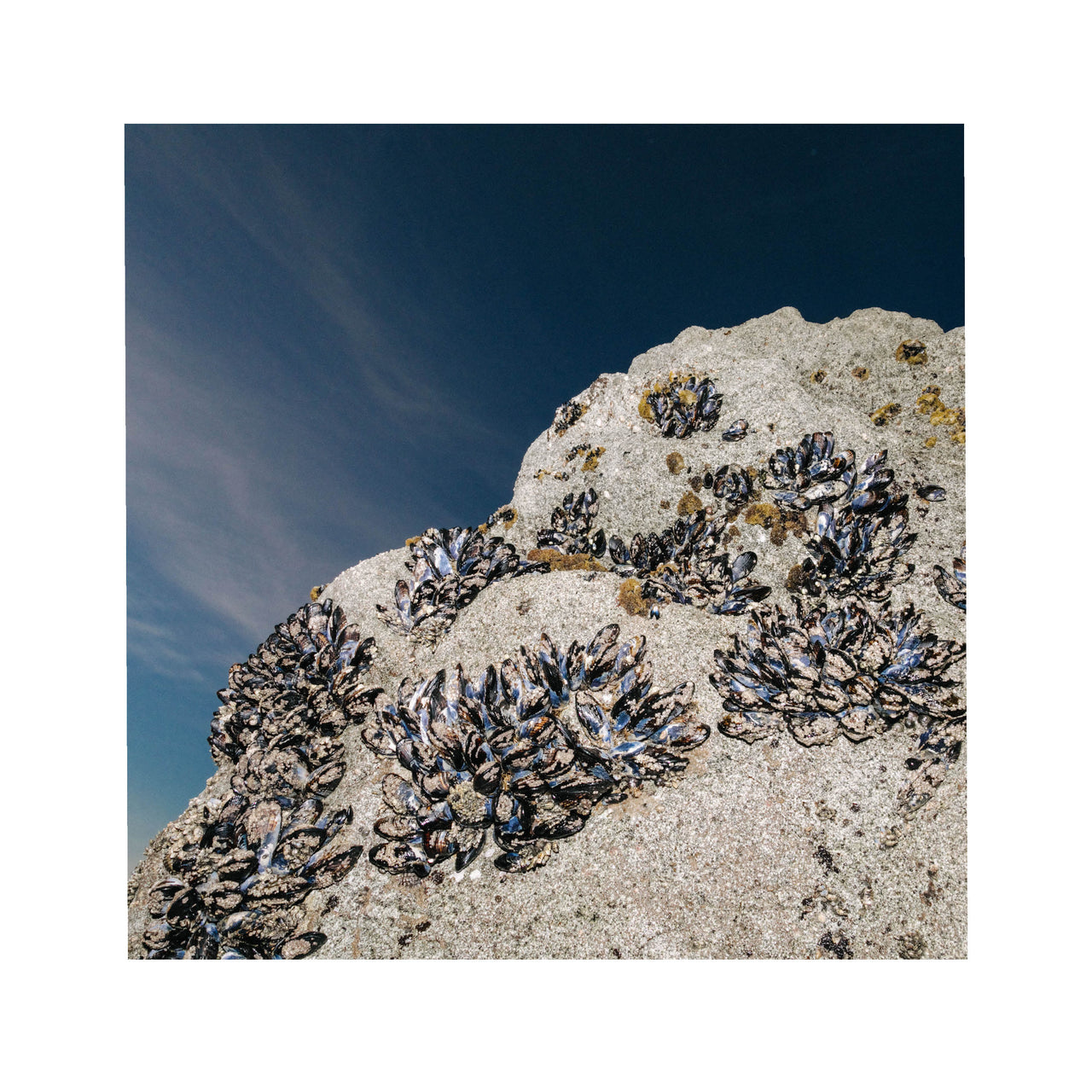 King Tide #3, 2024. Edition 2 of 15.