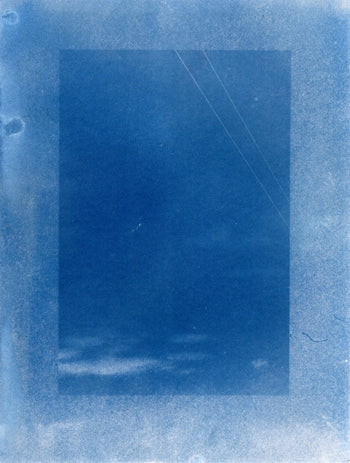 6x8"  | Original Cyanotype Prints | Ready to Ship