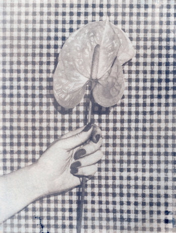 6x8"  | Original Cyanotype Prints | Ready to Ship