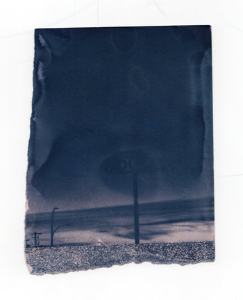 6x8"  | Original Cyanotype Prints | Ready to Ship