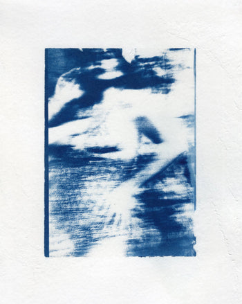 6x8"  | Original Cyanotype Prints | Ready to Ship