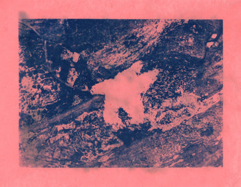 Mystery Cyanotype