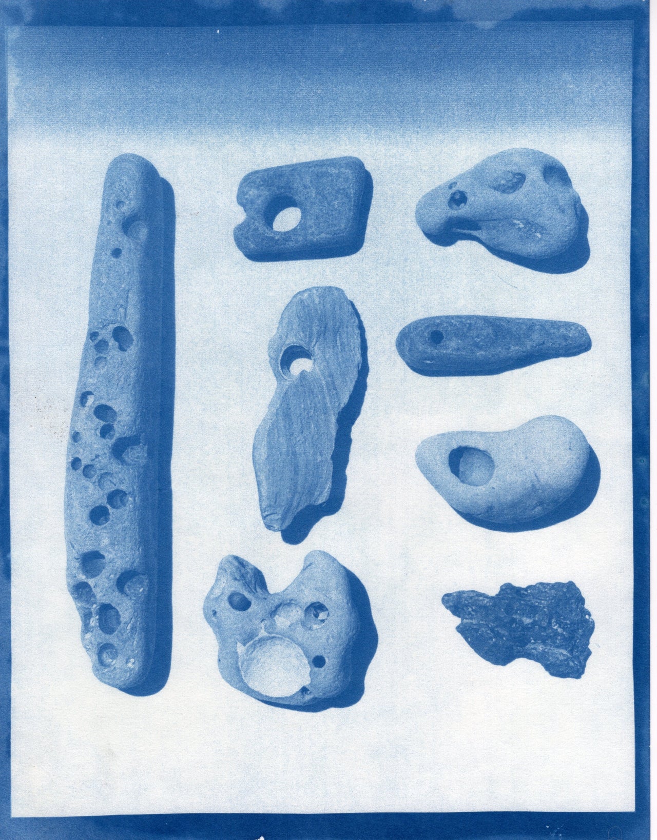 Mystery Cyanotype