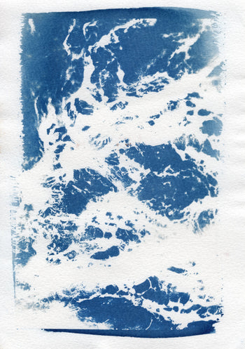 6x8"  | Original Cyanotype Prints | Ready to Ship