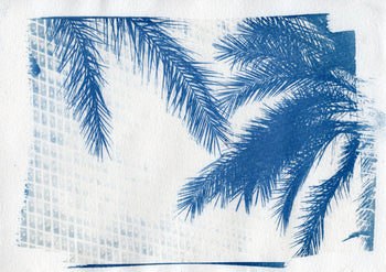 6x8"  | Original Cyanotype Prints | Ready to Ship