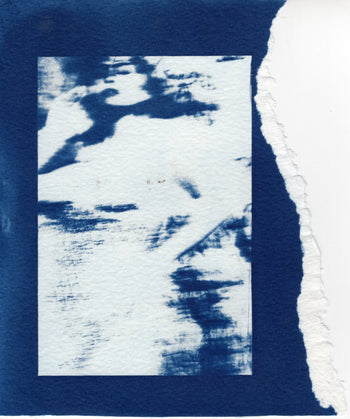 6x8"  | Original Cyanotype Prints | Ready to Ship
