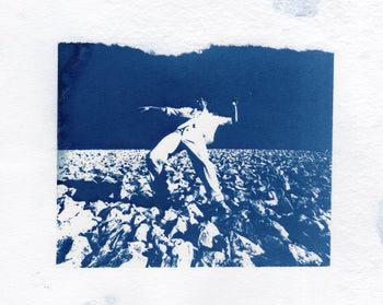 6x8"  | Original Cyanotype Prints | Ready to Ship