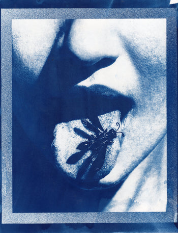 Wasp, 2025 | Original Cyanotype Print | Ready to Ship