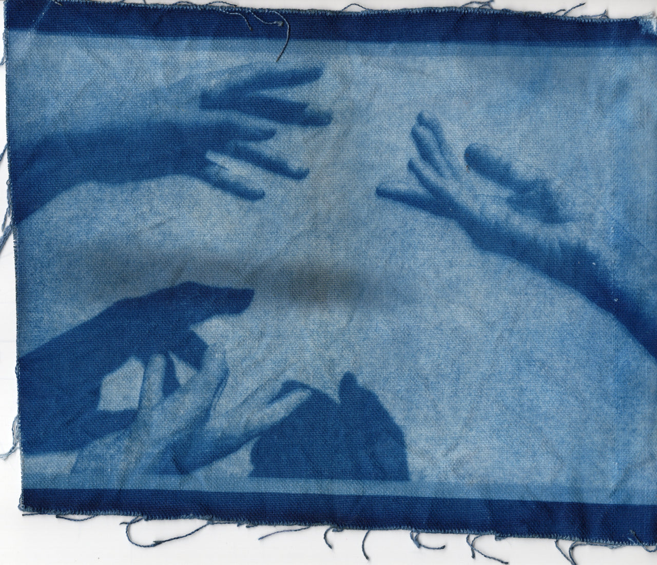 Hands, 2025 | Cyanotype Print | 8.5x11" | Canvas