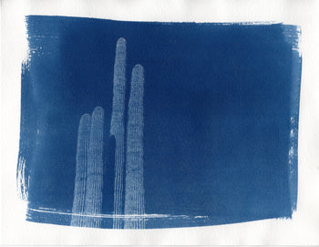 Saguaro, 2022 | Original Cyanotype Print | Ready to Ship