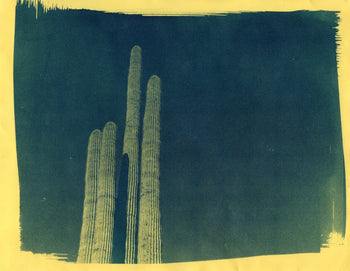 Saguaro, 2022 | Original Cyanotype Print | Ready to Ship