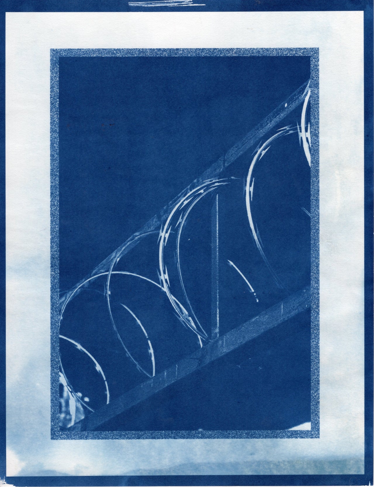 Barbed Wire, 2025 | Cyanotype Print | 8.5x11"