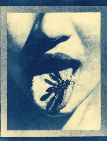 Wasp, 2025 | Original Cyanotype Print | Ready to Ship