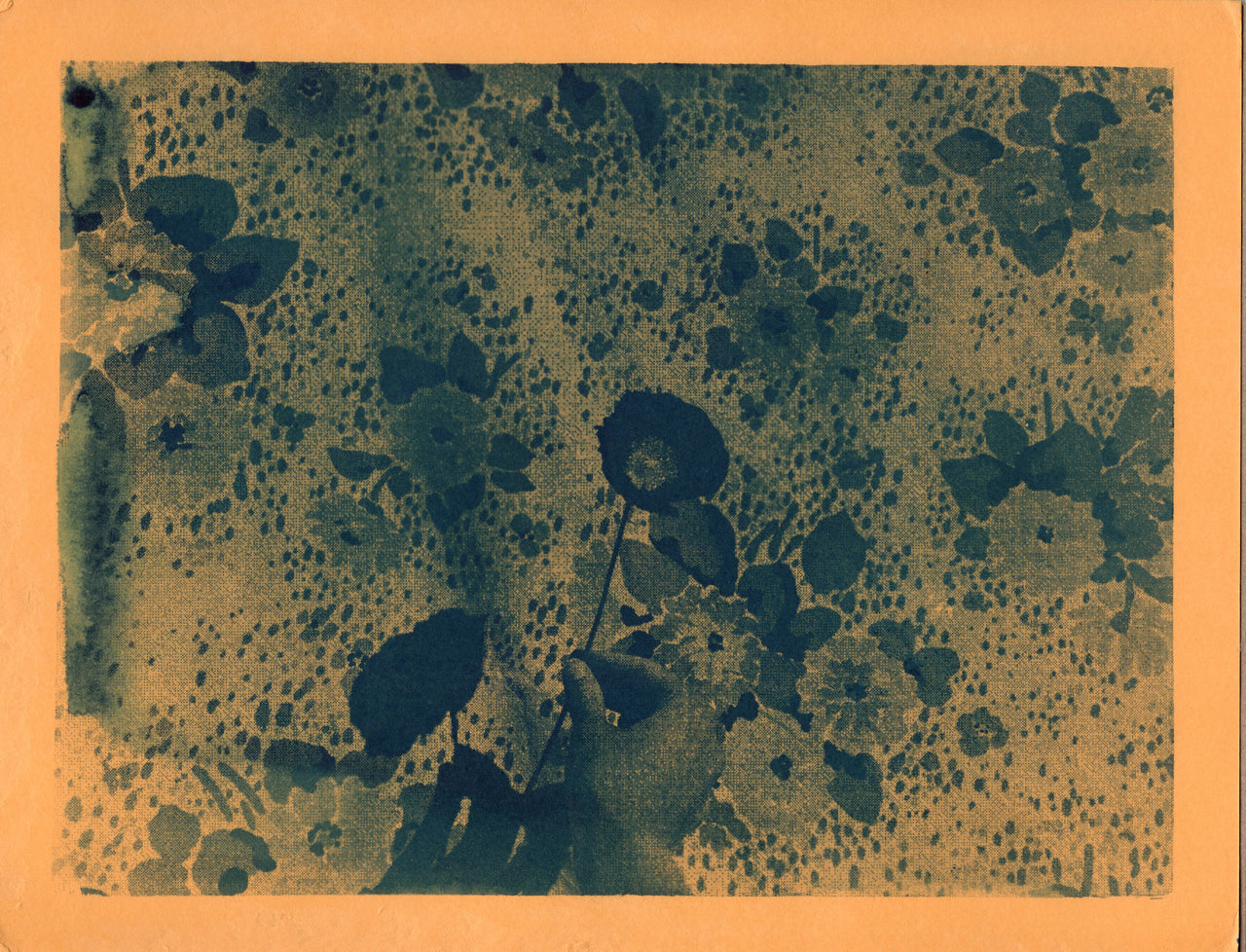 Poppy, 2019 | Original Cyanotype Print | Ready to Ship