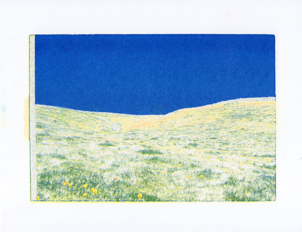 Poppy Fields, #4 | Risograph 2026