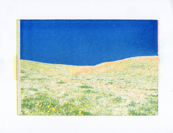 Poppy Fields, #4 | Risograph 2026