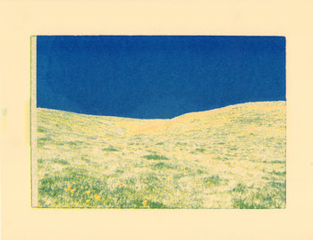 Poppy Fields, #4 | Risograph 2026