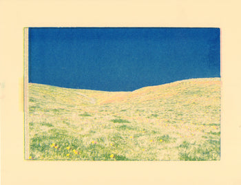 Poppy Fields, #4 | Risograph 2026