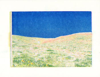 Poppy Fields, #4 | Risograph 2026
