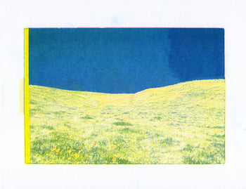 Poppy Fields, #4 | Risograph 2026