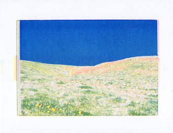 Poppy Fields, #4 | Risograph 2026