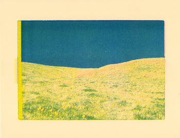 Poppy Fields, #4 | Risograph 2026