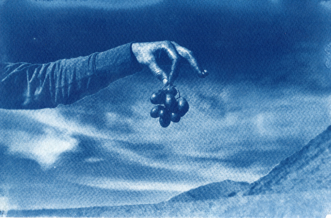 Grapes, Death Valley, 2020 | Original Cyanotype Print | 6x8.5"