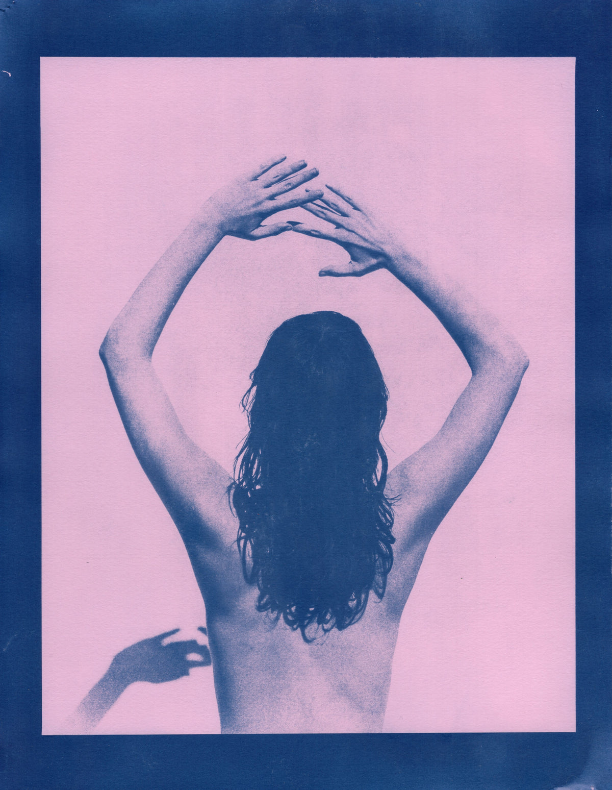 Dani, 2025, Variations | Original Cyanotype Prints | Ready to Ship