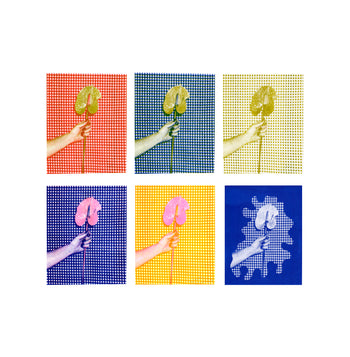 Anthurium, Gingham | Risograph 2026