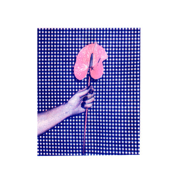 Anthurium, Gingham | Risograph 2026