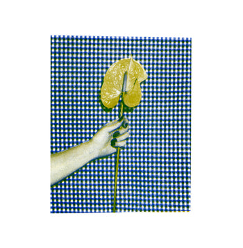 Anthurium, Gingham | Risograph 2026