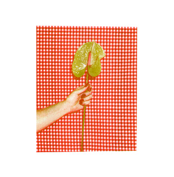Anthurium, Gingham | Risograph 2026
