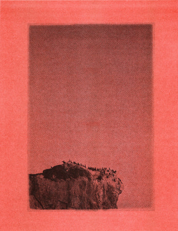 Cormorants, Malibu | Risograph 2026