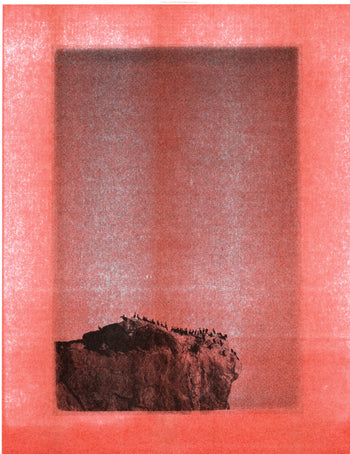 Cormorants, Malibu | Risograph 2026