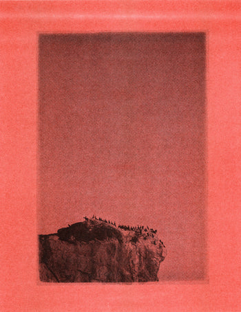Cormorants, Malibu | Risograph 2026