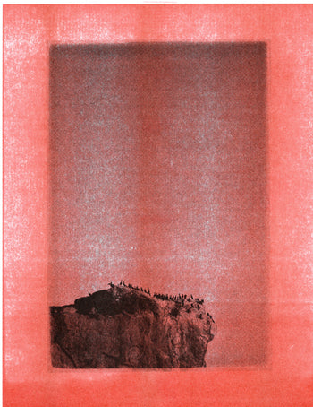 Cormorants, Malibu | Risograph 2026