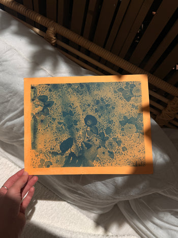 8.5x11"  | Original Cyanotype Prints | Ready to Ship